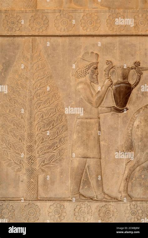 Detail of a relief of a delegation bearing gifts, (Apadana, East staircase) at Persepolis, Iran ...