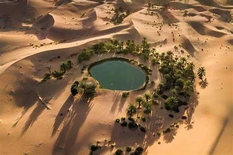 2023 Day tour to White Desert and Bahariya Oasis Tour