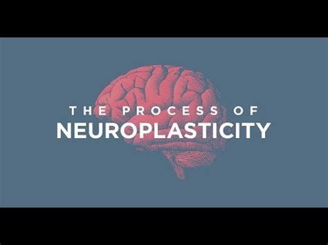 Traumatic Brain Injury (TBI) & Neuroplasticity.......... - YouTube