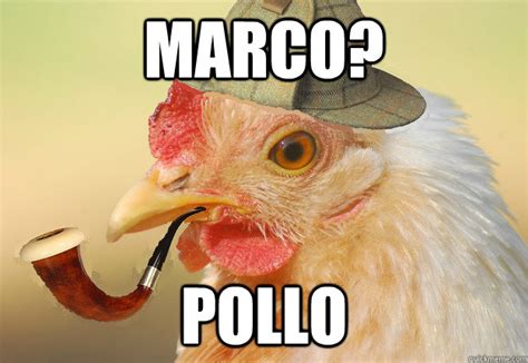 Marco? POLLO - Chicken Detective - quickmeme