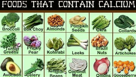 Calcium During Pregnancy - Calcium Rich Foods For Pregnancy - Test Blog