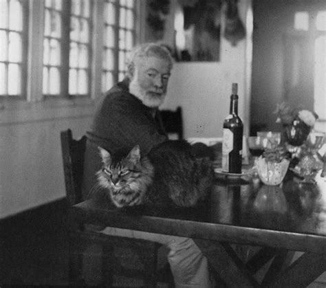 26 Interesting Vintage Photos of Ernest Hemingway With His Beloved Cats ~ vintage everyday