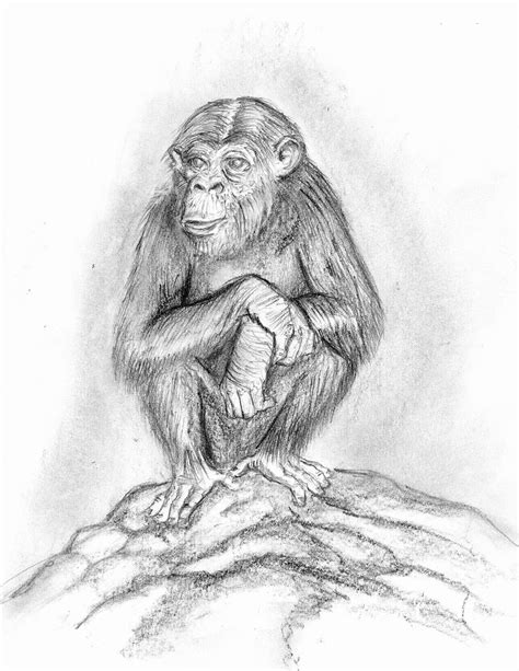 Chimp by AlmazingStuff on DeviantArt