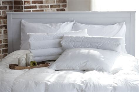 Bed Bugs Symptoms - Spot Them Early | Empire Pest Control London