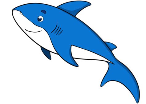 Shark Cartoon PNG Transparent Images Free Download | Vector Files | Pngtree