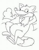 Free Fox Coloring Pictures Download Png  sketch template