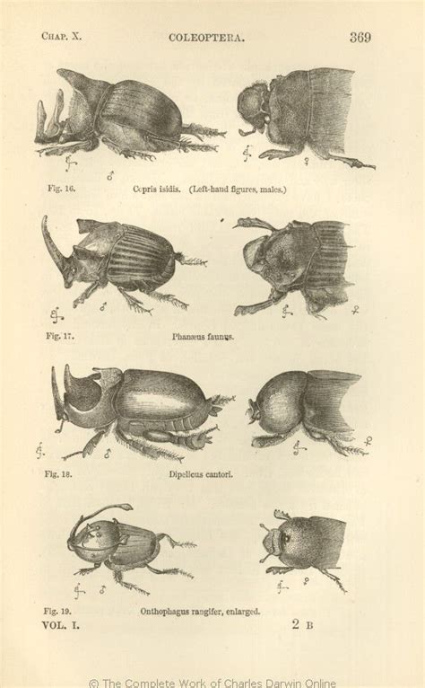 Charles darwin, Illustration, Scientific illustration