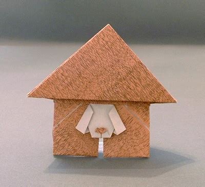 origami Dog house Weiss 3D ~ easy art and craft for kids