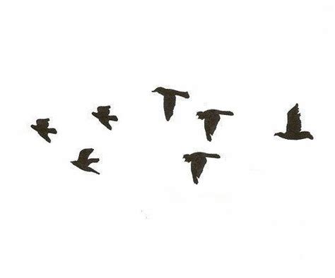 Pajaros volando gif - Imagui