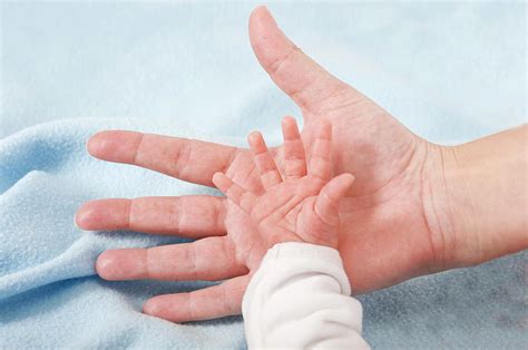 Parent Holding Newborn Baby's Hand Photograph by Lea Paterson/science ...