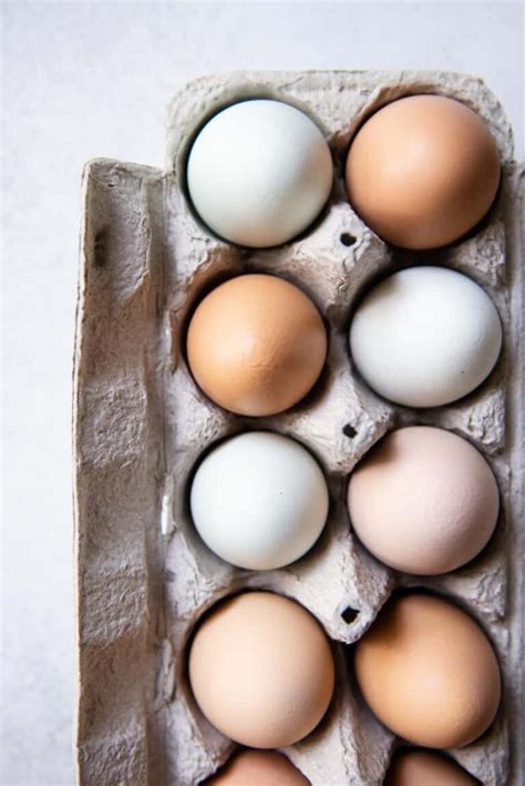 Eggs 101: Sustainability in Egg Farming | Healthy Nibbles by Lisa Lin