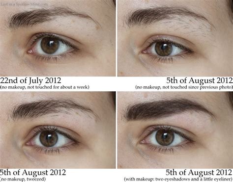 Totally growing mine out now. Wish me luck! | Eyebrow shaping, Threading eyebrows, Eyebrows