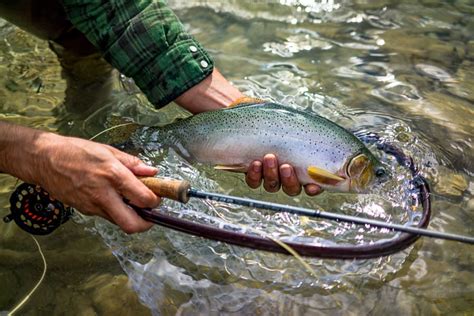 Fishing in Alberta: A Beginner's Guide for 2021 | Road Trip Alberta