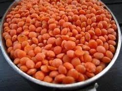 Pulses - Soya Dal Manufacturer from Ujjain