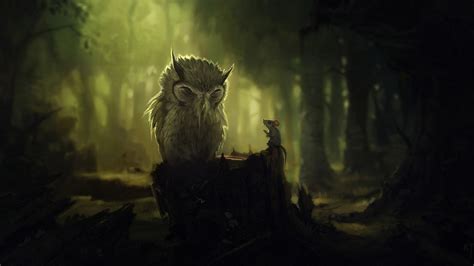 Night Owls Wallpapers - Wallpaper Cave