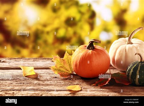 White squash hi-res stock photography and images - Alamy