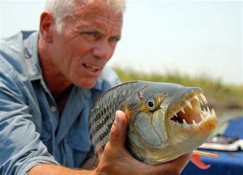 African tigerfish - Botswana (S04E02) EP: "Pack of Teeth" Jeremy Wade ...