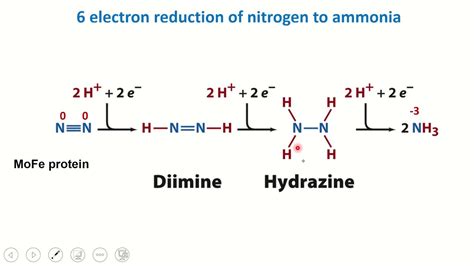 Nitrogen Topic 4 - Nitrogenase mechanism - YouTube