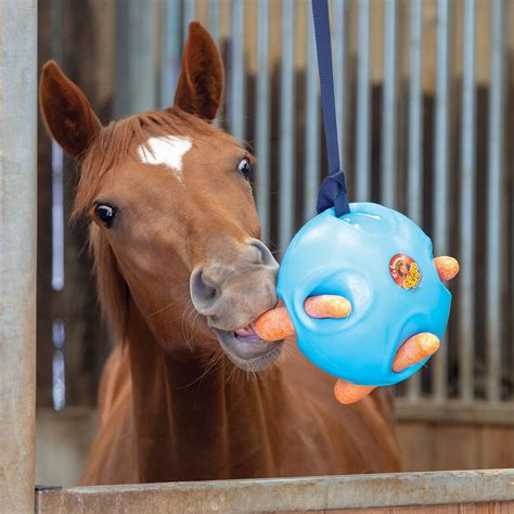 Keep Your Horse Mentally Stimulated With Horse Toys | BeChewy