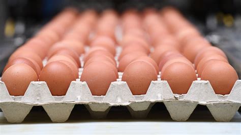 Salmonella outbreak linked to recalled eggs sickens dozens | kgw.com