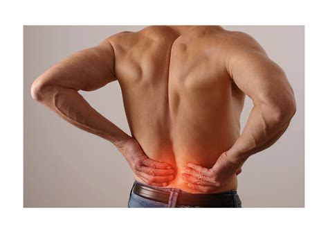 Common causes of low back pain. Low back pain is a common condition… | by MetaPhysiotherapy | Medium