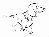 The Best Free Wiener Coloring Page Images Download From 25  sketch template
