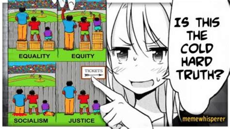 Equality vs Equity - Post your memes here - AR15.COM