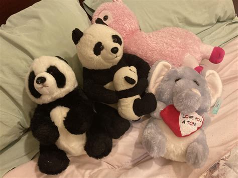 My bear collection 🦫🐼🐘 : r/Teddybears