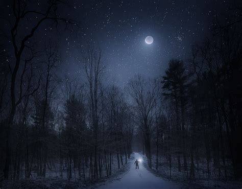 Night in the Forest | Quabbin Reservoir, MA | Patrick Zephyr Photography