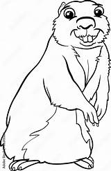 gopher Animal Cartoon coloring page Stock Vector  Adobe sketch template