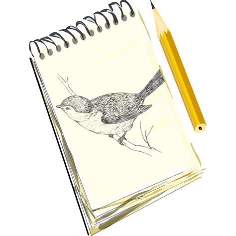 Sketchpad drawing of a bird on a pad | Free SVG