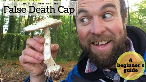 How to Identify the False Deathcap: A Beginner's Guide - YouTube