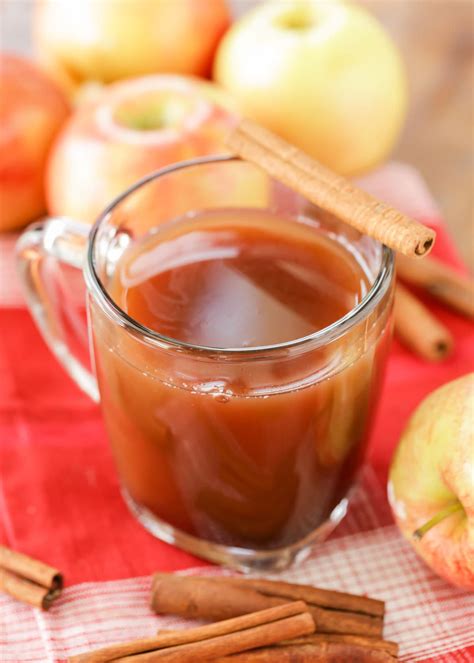 The BEST Homemade Hot Apple Cider Recipe | Lil' Luna