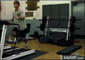 Gym Fail GIFs | Tenor