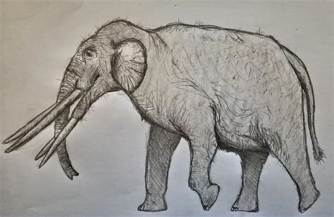 Stegotetrabelodon by NordicB3rry on DeviantArt