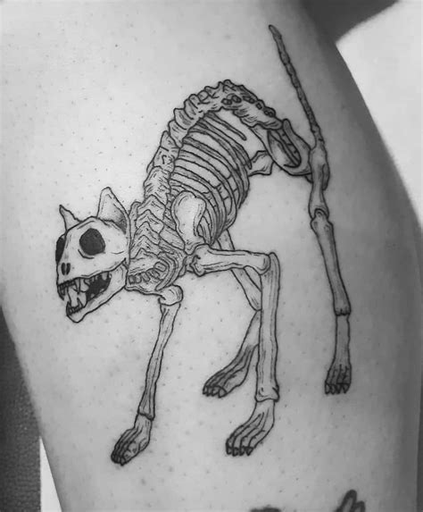 50+ Cat Skull Tattoos That Are Actually Good