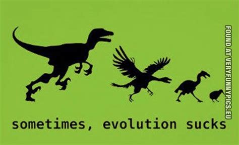 Sometimes, evolution sucks - Very Funny Pics