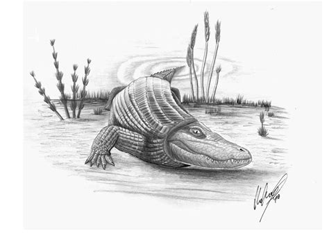 Allodaposuchus precedens by liliensternus on DeviantArt