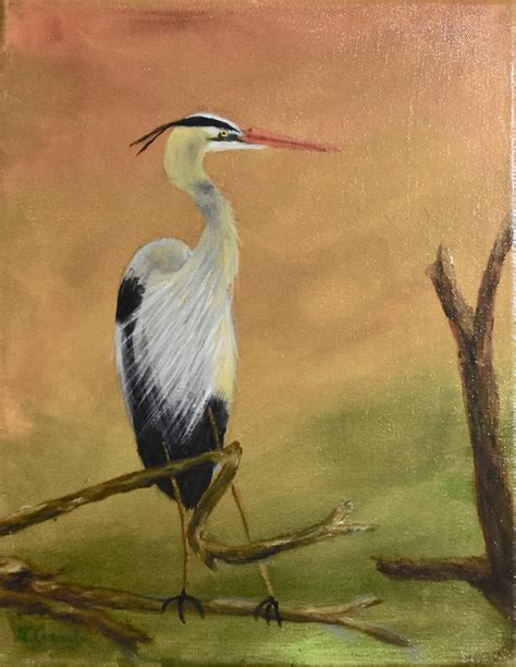 Heron - Biblical truth and light