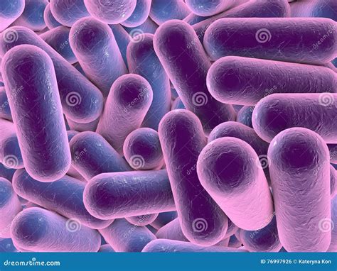 Rod shaped bacteria stock illustration. Illustration of bacterium ...