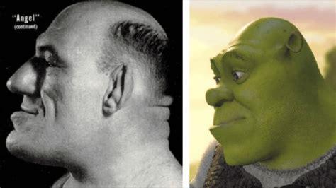 The Real Shrek_00000 - Eskify