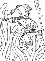 Saltwater Fish Coloring Pages At GetColoringscom  Free Printable sketch template