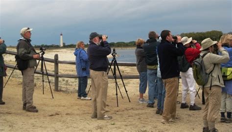 Cape May School of Birding - Gulf Coast Bird Observatory