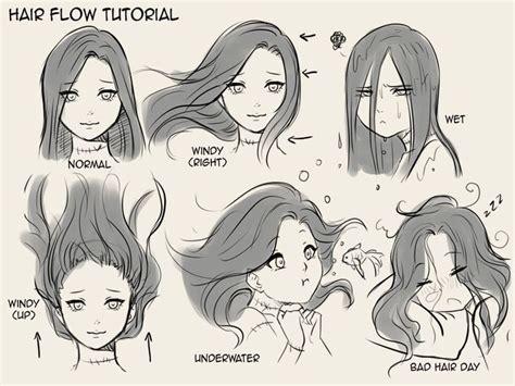 Hair flow tutorial (1000x750) … | Art reference, Drawing techniques ...