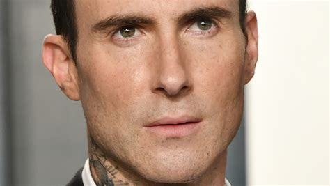 How Adam Levine Reportedly Feels About Behati Prinsloo Amid Cheating Scandal Aftermath - Nicki ...
