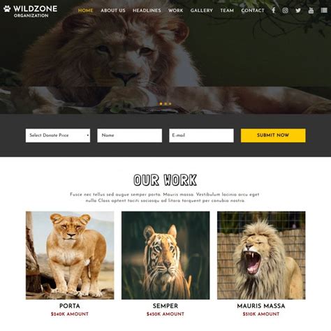 Forest Website Template - TemplateOnWeb