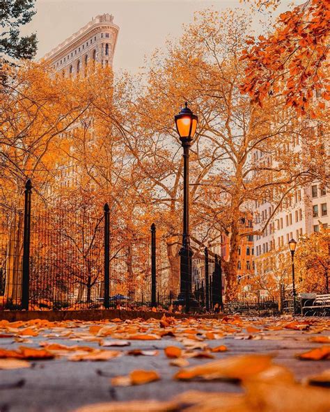 Madison Square 🇺🇸 | Autumn scenery, Autumn photography, Autumn scenes