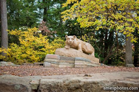 Penn State Nittany Lion | Nittany Lion Shrine, Fall 2014 | Nittany lion ...