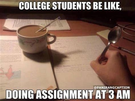 Going To School, The Struggle Is REAL! - 15 Pics