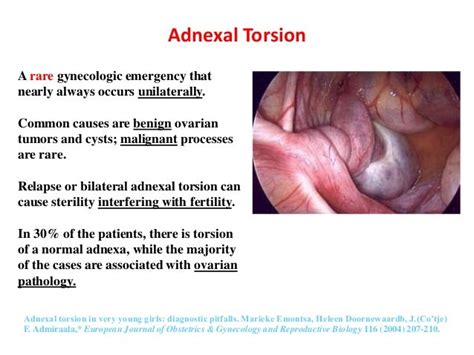 Endoscopy skills 2 2-2015